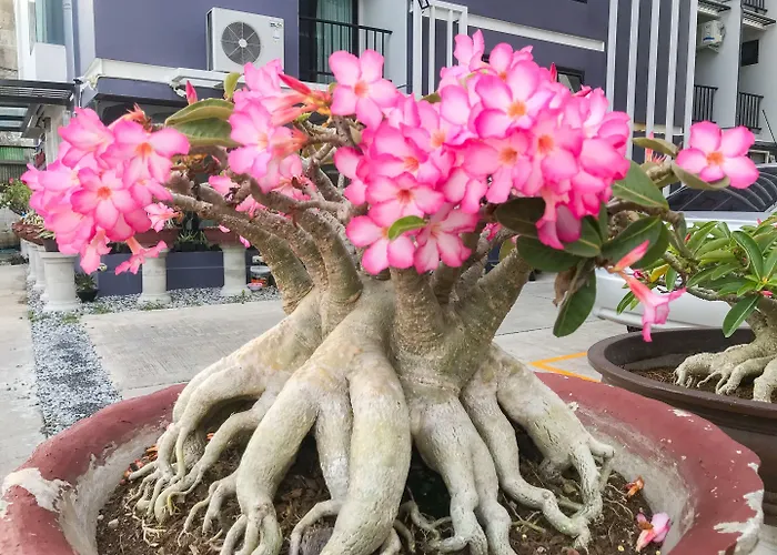 Delighted Hotel Bangkok