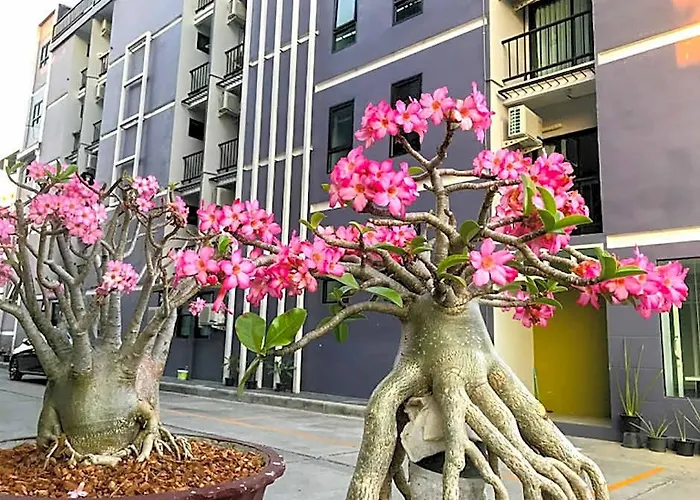 Delighted Hotel Bangkok