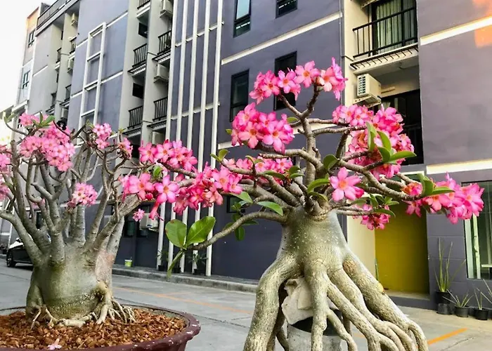 Delighted Hotel Bangkok