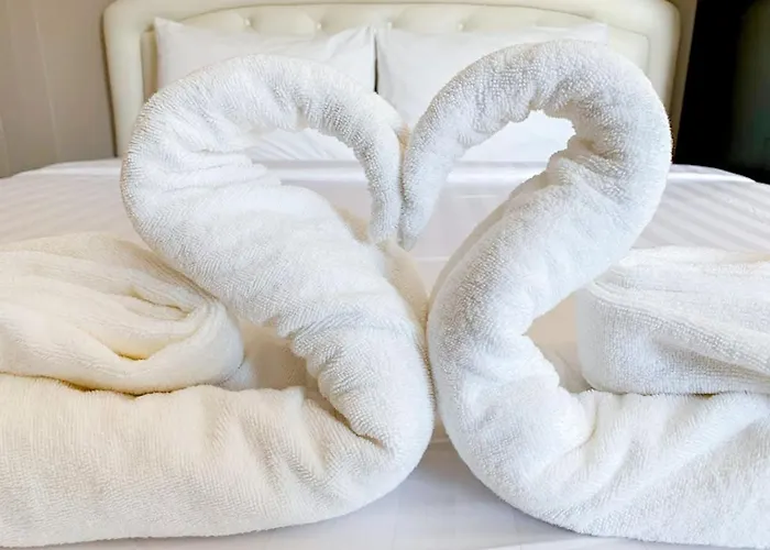 Hotel Delighted 3*